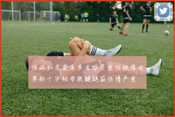 伤病如虎袭来多名球员重伤缺席世界杯十字韧带跟腱腿筋伤情严重
