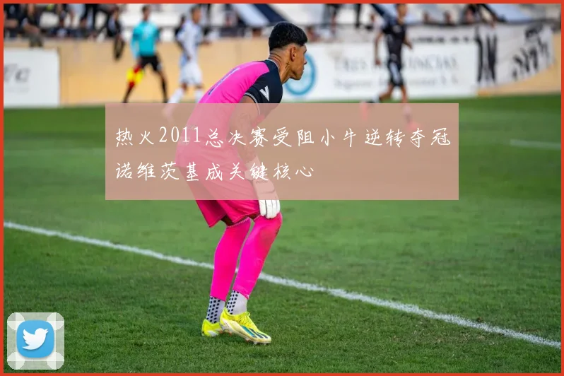 热火2011总决赛受阻小牛逆转夺冠诺维茨基成关键核心