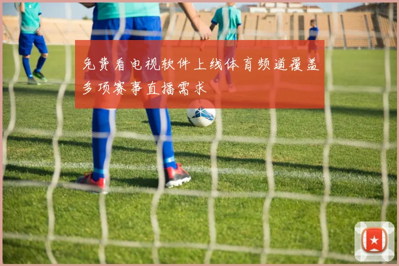 免费看电视软件上线体育频道覆盖多项赛事直播需求