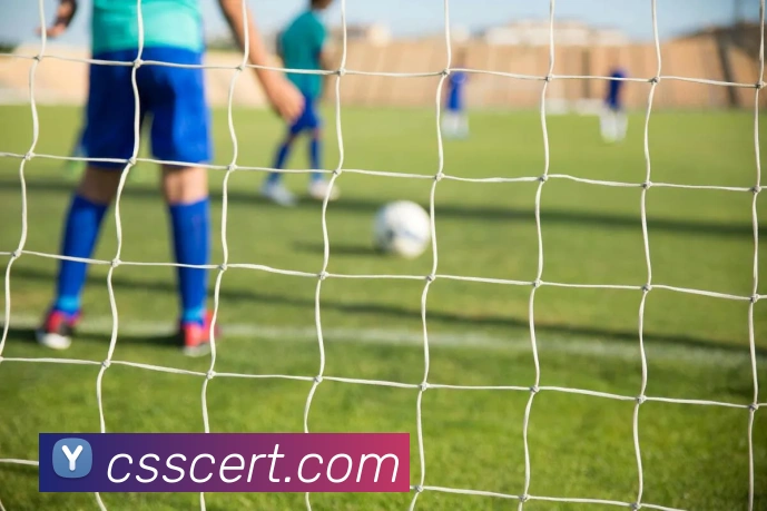 九游网官网入口全站App